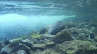 #BADC2020 / Parte caudalosa del Arroyo, Tlaxcalantongo, Puebla, México, 90 L