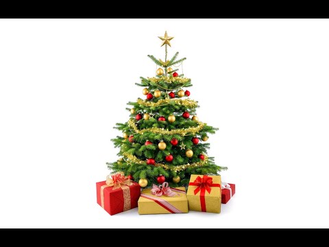 N32 სკოლის მე-2 კლასი და მაკა ჭელიძე