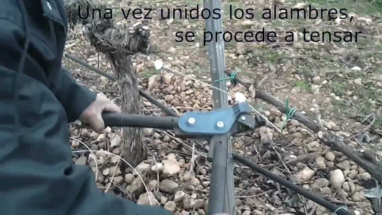 Reparación de un alambre roto en una viña - YouTube