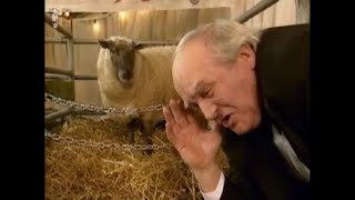 King of the Sheep Festival | Father Ted S3 E2 | Absolute Jokes