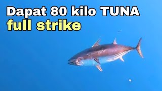 Mancing Tuna dapat 80 kilo