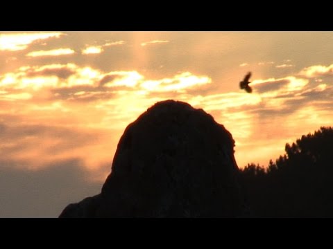 Solstice d'été sur le Cromlech de Carnac