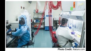 Download lagu Quality control of Laboratory personnel Or Staffs