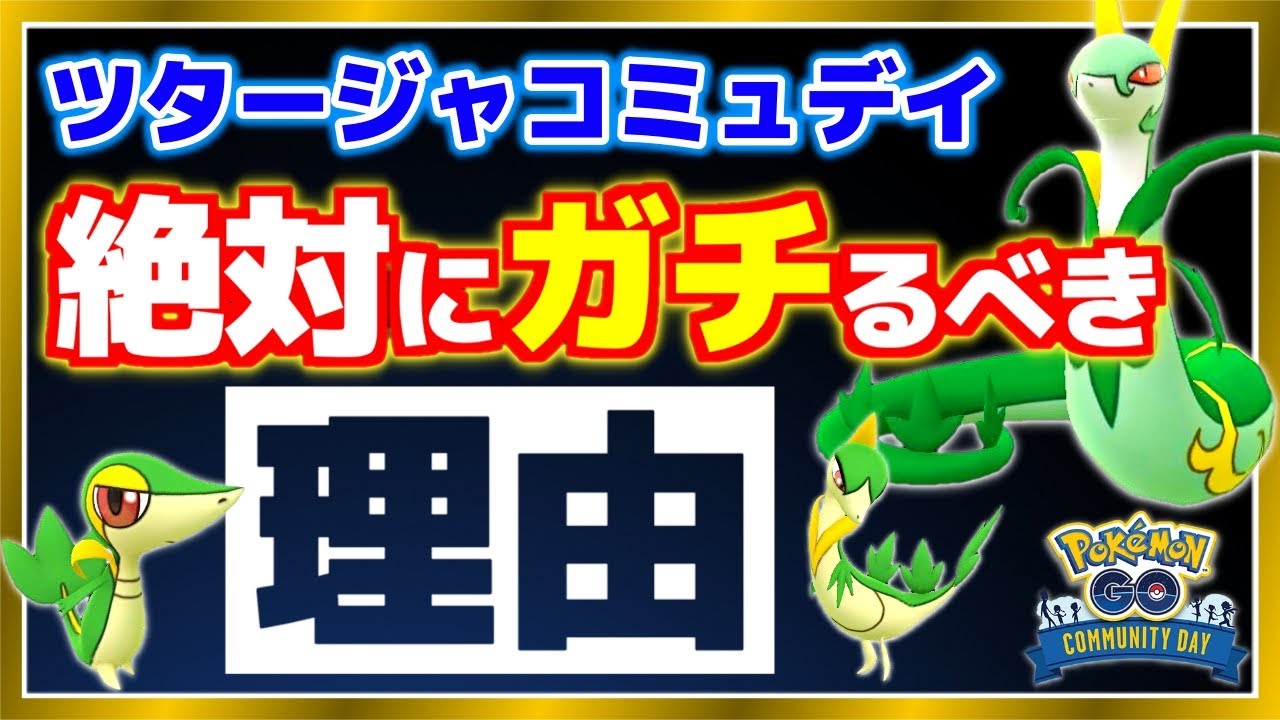 ツタージャの動画 画像 動画検索 マイルドサイト