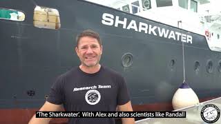 Steve Backshall on board the Sharkwater