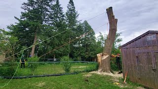 Dropping the Leaning Peg with the Maasdam and Fiddle Block  Storm Damaged Maple Day 2 Part 2