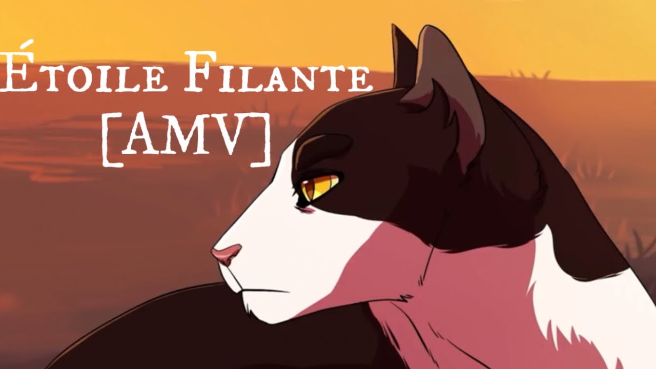 lgdc-toile-filante-amv-j-ai-cherch-youtube