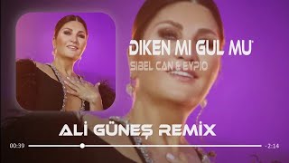 Sibel Can & Eypio - Diken Mi Gül Mü ( Ali Güneş Remix )