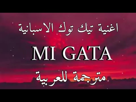 اغنية تيك توك الاسبانية +18 toma tussi mi gata _ مترجمة للعربية standly Lyrics
