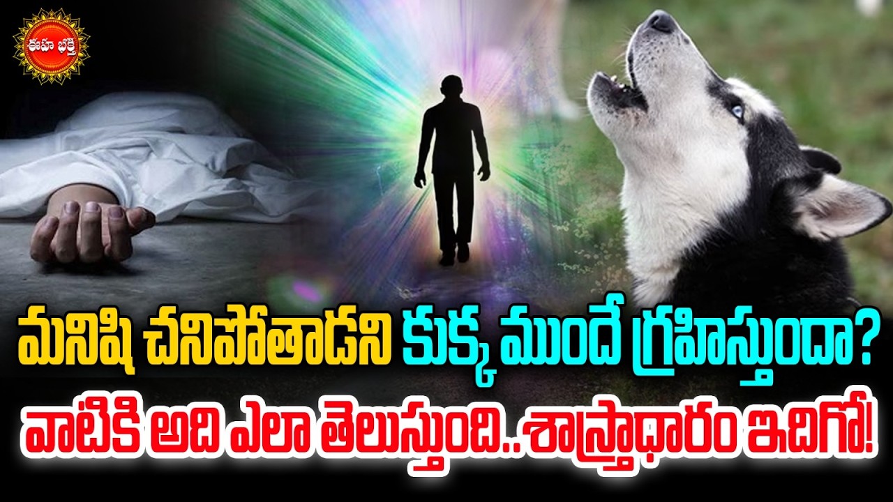 మనిషి చా*వు కుక్క ముందే గ్రహిస్తుందా? | Mystery Behind Dogs Crying | Dharmasandehalu | Eha Bhakthi