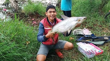 Lần đầu đi Tràm Chim câu cá, không ngờ dính được cá Tra to, Tập 10 - Hậu Cao Lãnh