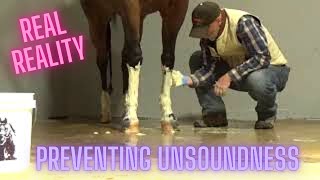 LEG CARE 101 - FOR YOUR HORSE!!! - HOW TO STAY SOUND!!! screenshot 5