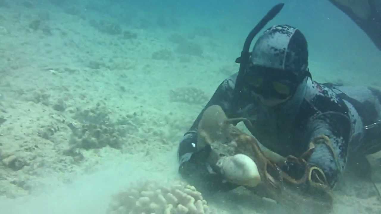 Hawaii Spearfishing "Tako Bites" Ep.31