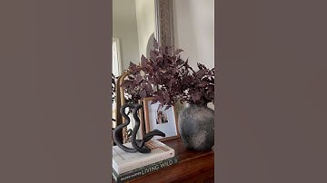 The Viral Faux Stem Everyone’s Talking About Is Back!