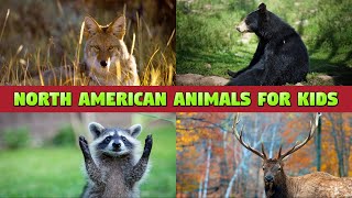 NORTH AMERICAN ANIMALS - NAMES AND SOUNDS FOR KIDS