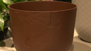 Elho Vergroen Je Huis Met De Fuente Collectie