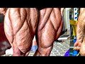 The Biggest Leg In Bodybuilding  📖🤯 leg motivation