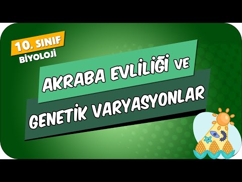 Akraba Evliliği ve Genetik Varyasyonlar | 10.Sınıf Biyoloji #2024