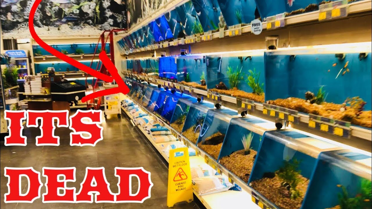 Does Petsmart Ever Have Coupons