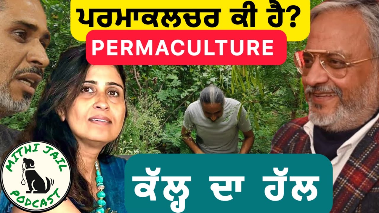 ਜ਼ਹਿਰੀਲਾ ਸ਼ਹਿਰੀ ਜੀਵਨ ਸਿਹਤ ਨਹੀਂ ਖੁਸ਼ੀ ਨਹੀਂ PERMACULTURE SOLUTION || PARAMPAL DHALIWAL #wheatallergy