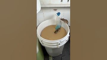 OMG! Plastic bottle and paper trap, mice fall nonstop? #cat #catandmouse #trending