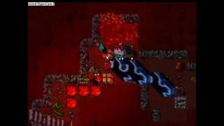 Tibia Thoria Karacze pk