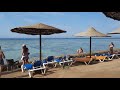 Sunny Days El Palacio 4*. Хургада. Обзор отеля, территории, номеров и пляжа. Октябрь 2021