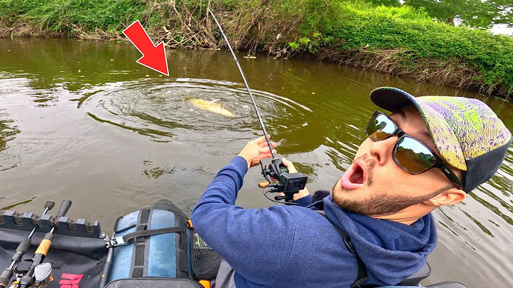 These mysterious spots always hide big surprises!! (Lure fishing in small rivers)