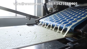 Chives Biscuits Production——Wenva Machine