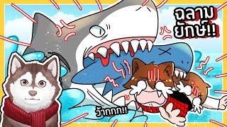 หมาสติแตกหนีฉลามยักษ์ในตำนาน! Megalodon ฉลามกินฉลาม~🐾