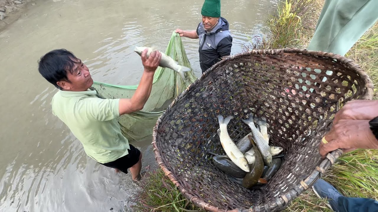 Kati dherai machha hau - Gau ma machha mardai | Fishing | Machha marne naya tarika