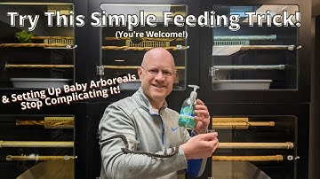 Super Simple Trick To Get Stubborn Baby Pythons Feeding!