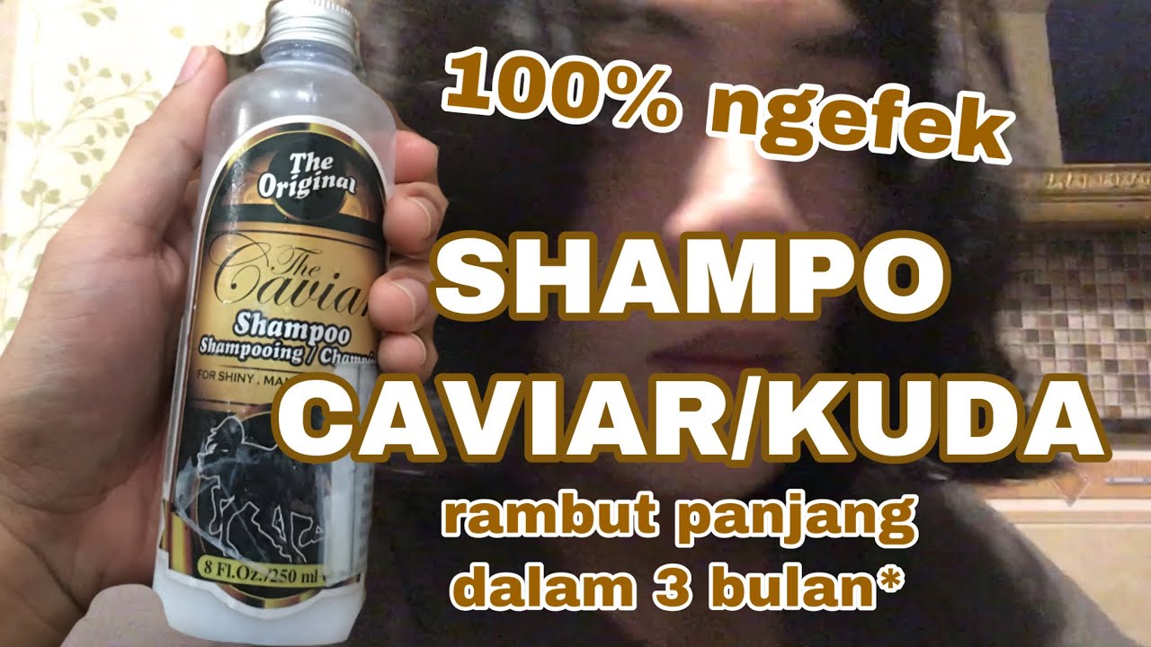 REVIEW HASIL PEMAKAIAN SHAMPO CAVIAR/SHAMPO KUDA DALAM WAKTU 3 BULAN