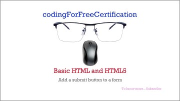 Basic HTML and HTML5 | Add a Submit Button to a Form | freecodecamp | 20 of 28