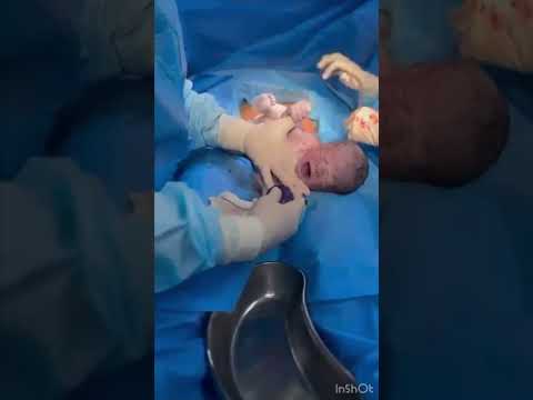 تولد اقا شاهان وحداشی ان ۱۶ مهر ۱۴۰۳