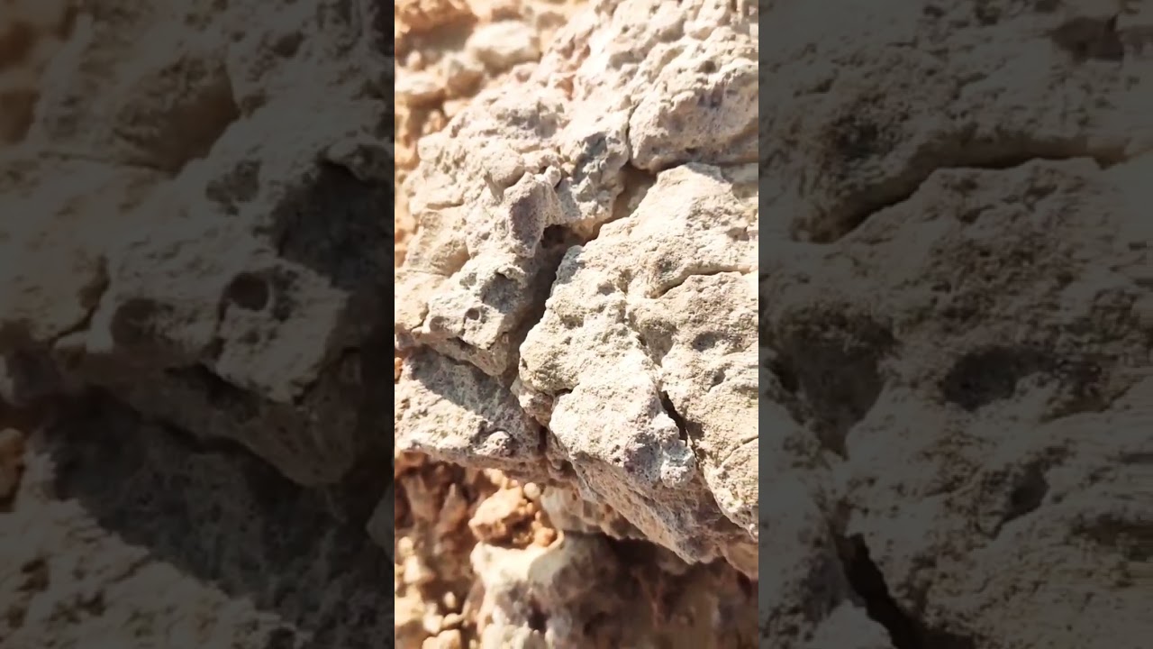 the unique stone I found to day in the Desert 