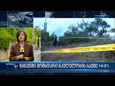 წყნეთში მომხდარი მკვლელობის საქმე