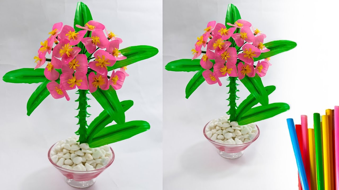  cara  membuat  bunga eforbia dari sedotan flower  craft 