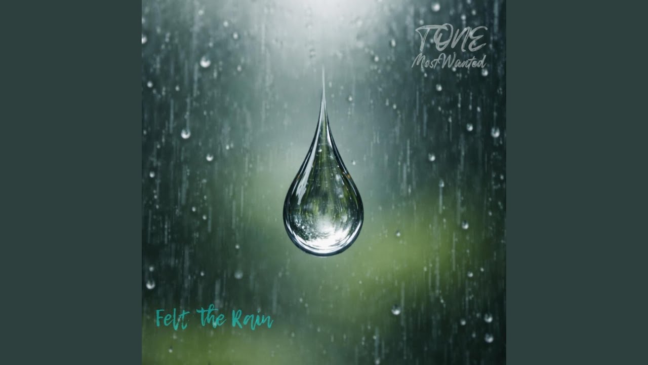 Felt The Rain