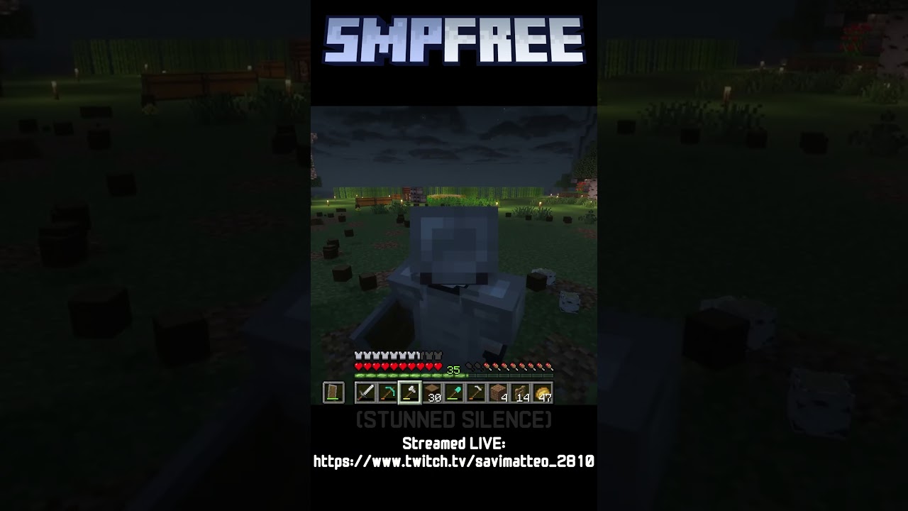I have never been more disappointed in a tree capitator mod #gaming #minecraft #smp