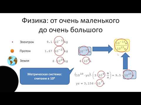 Видео: Секретомный взгляд на деградацию древесной и недревесной лигноцеллюлозы Pleurotus Ostreatus