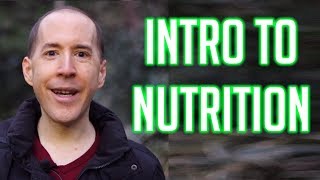 Introduction to Nutrition: Calories and Macros