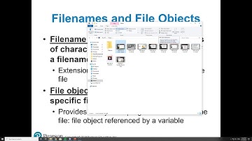 Chapter 6   File Extensions, Object, and Opening Files