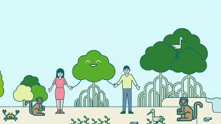 CPF | GROW SHARE-PROTECT MANGROVE FOREST