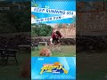 KR family farm day trip be like this🦌✨ #KeepRunning #KeepRunningS14 #KeepRunning2026