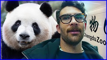 Meeting Pandas in China Changes Hasanabi