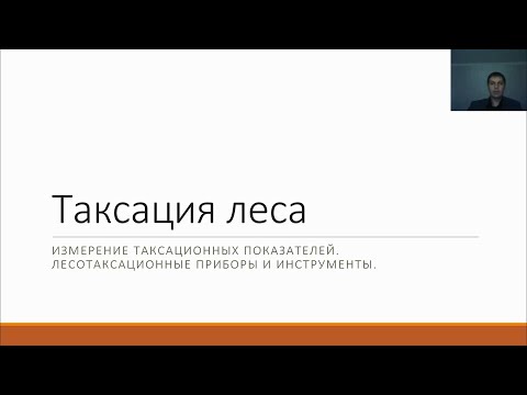 Таксация леса 1 3 курс Лесное дело