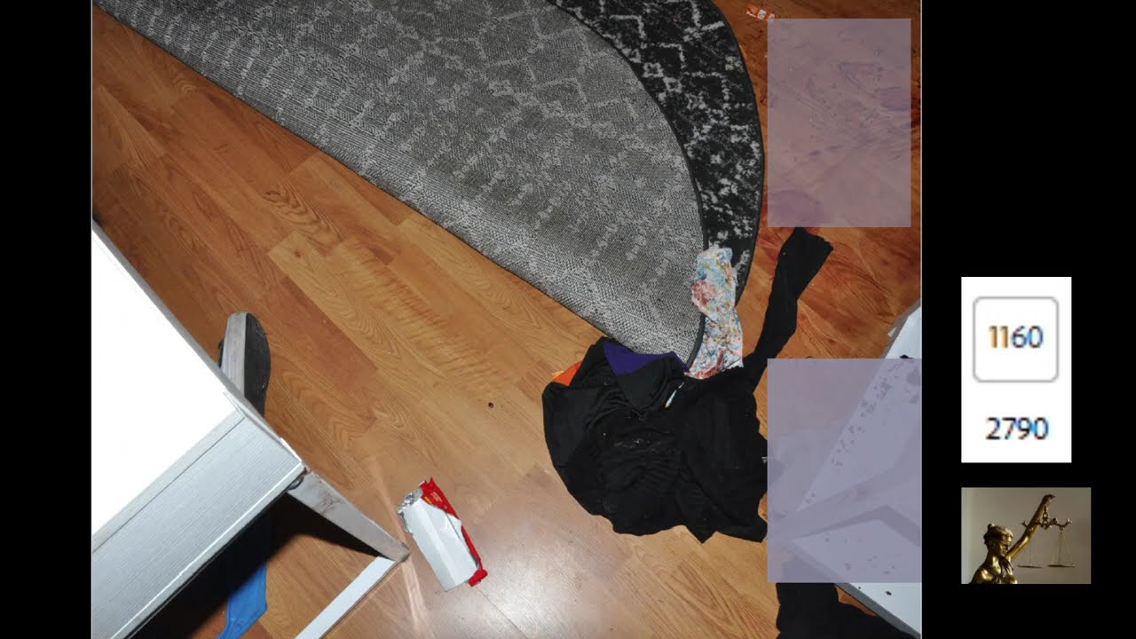 IDAHO 4 - TRIGGER WARNING/CRIME SCENE PHOTOS - READ VIDEO DESCRIPTION