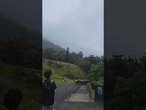 Vidéo: Nu'uanu Pali Lookout dans le Nu'uanu Pali State Wayside Park, Oahu