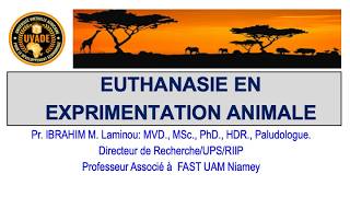 7. EUTHANASIA